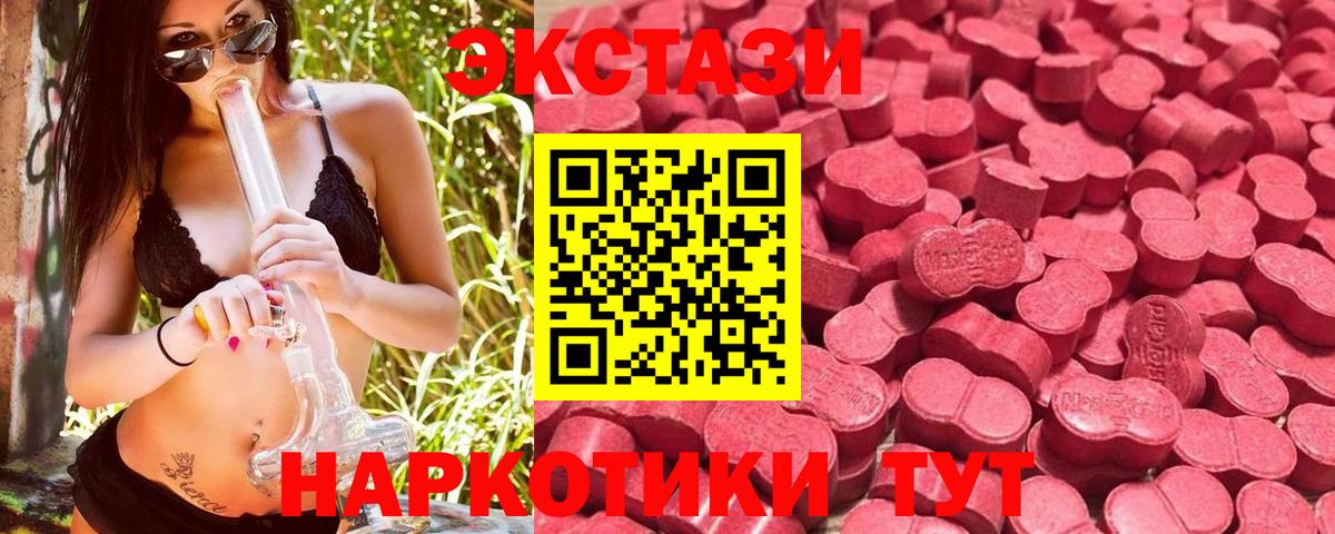 Строитель  Ecstasy Philipp Plein  Вход с VPN  Ecstasy  ЭКСТАЗИ Philipp Plein 