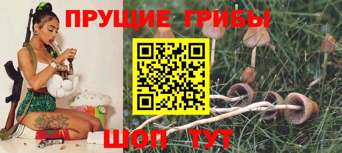 Галлюциногенные грибы прущие грибы  Вход с VPN  Строитель 